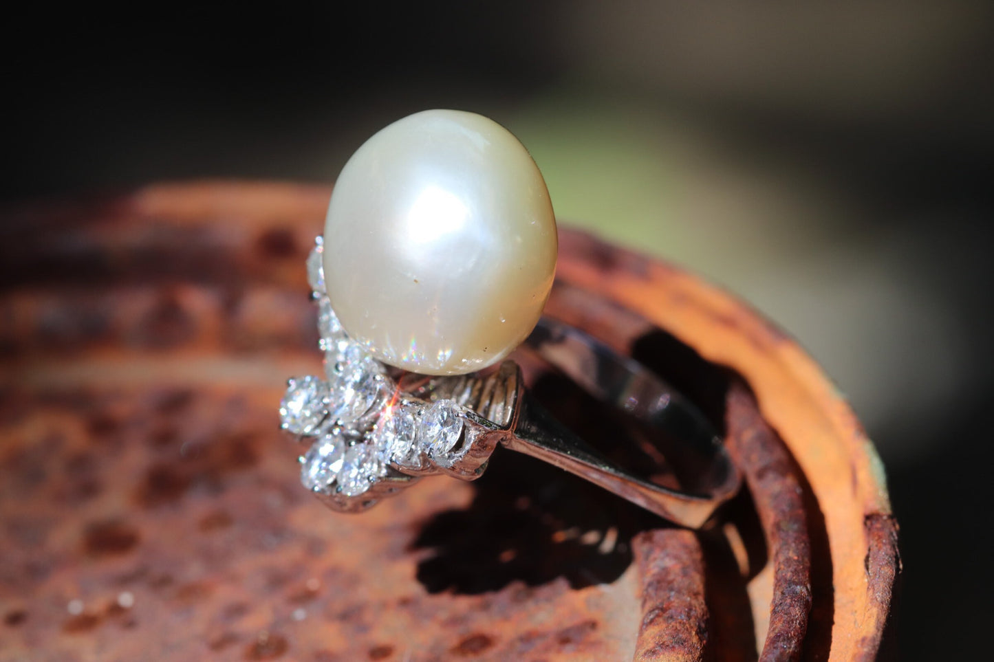 Diamond and south sea pearl ring set in 14k white gold